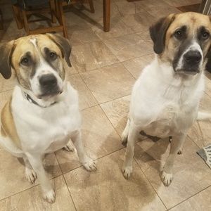 Meet your Posher, Kathleen